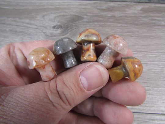 Small Gemstone Mushrooms