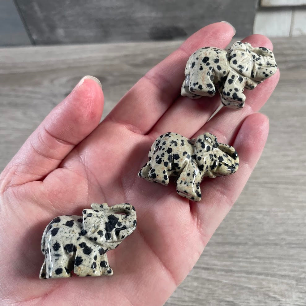 Carved dalmatian jasper gemstone elephant figurine featuring natural stone variations for crystal shop merchandise
