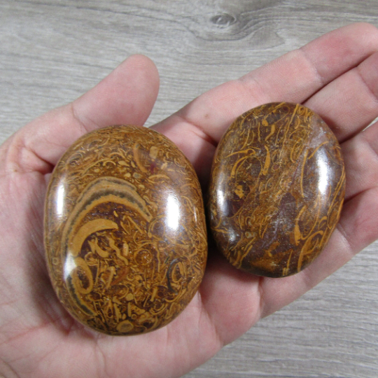 Gemstone Palm Stones Free Form Style