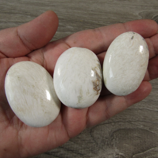 Gemstone Palm Stones Free Form Style