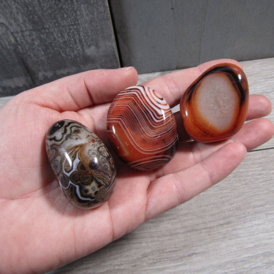 Gemstone Palm Stones Free Form Style