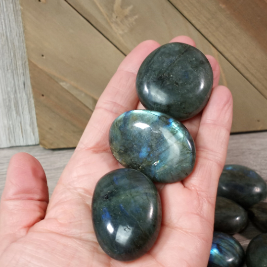 Gemstone Palm Stones Free Form Style