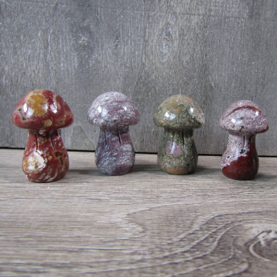 Gemstone Mushrooms About 1 1/4”+