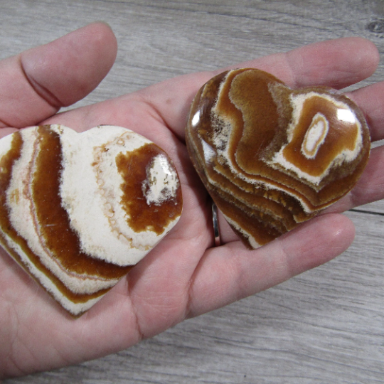 Aragonite brown hearts