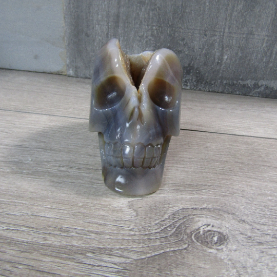 Gemstone Skull Large Display Size