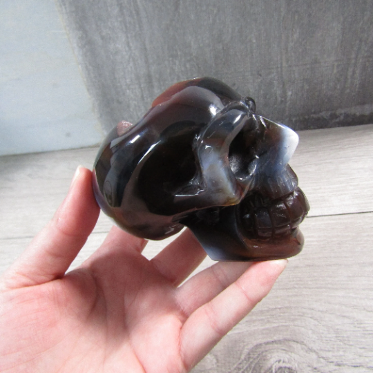 Gemstone Skull Large Display Size