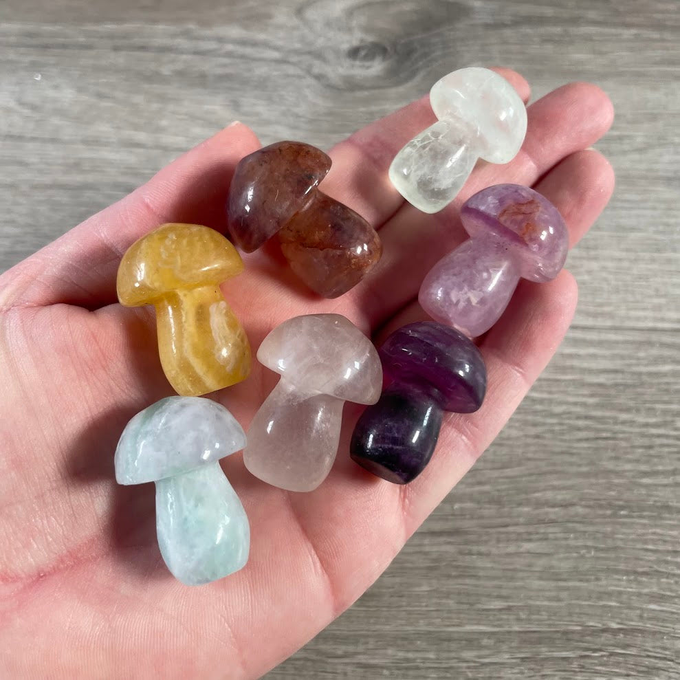 fluorite wholesale crystal mushroom carvings for retail display