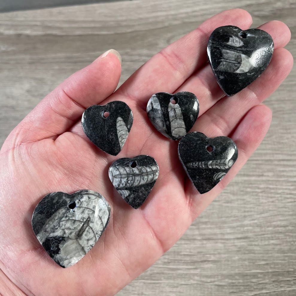 Bulk heart shaped fossil beads