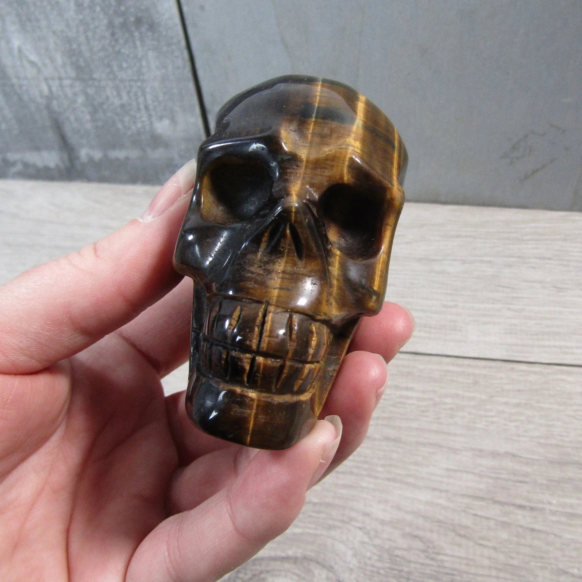 Gemstone Skull Large Display Size