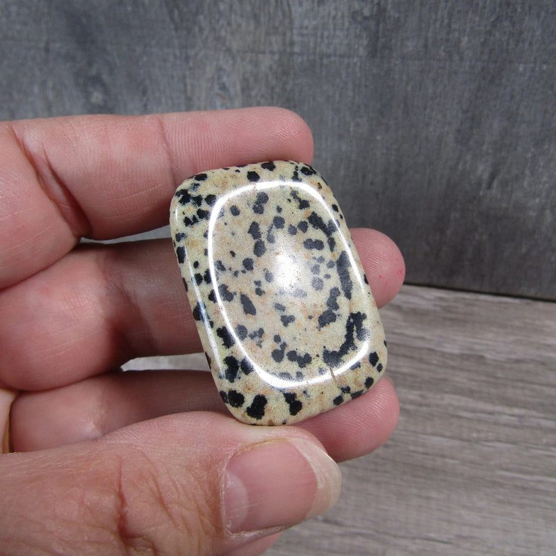 Dalmatian jasper rectangle worry stone for emotional harmony