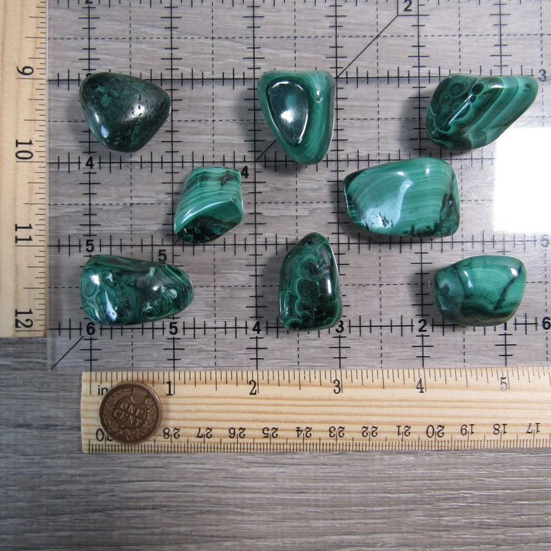 Malachite Tumbled Stones Sold by the 1 Pound