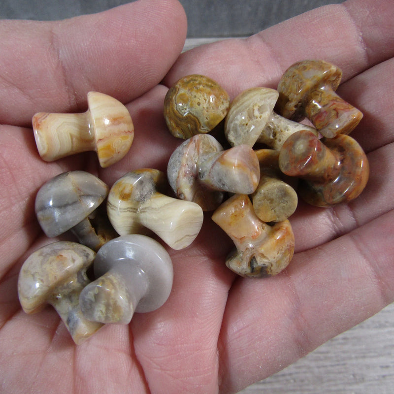 Small Gemstone Mushrooms