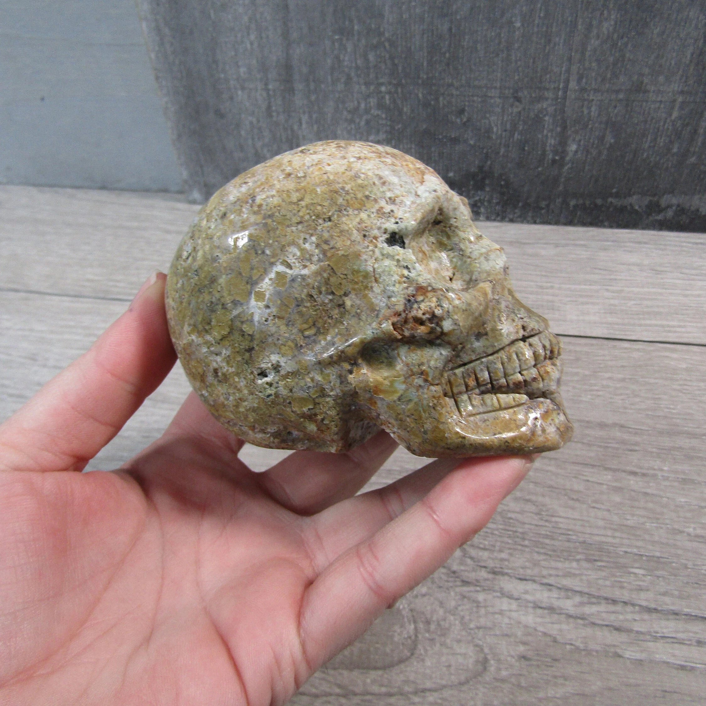 Gemstone Skull Large Display Size