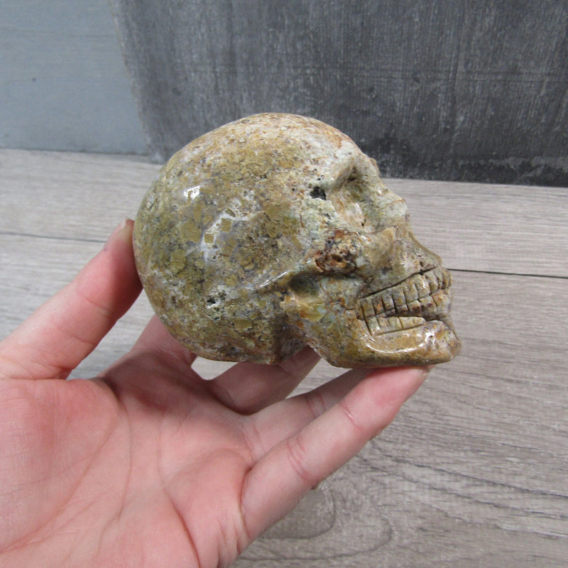 Gemstone Skull Large Display Size