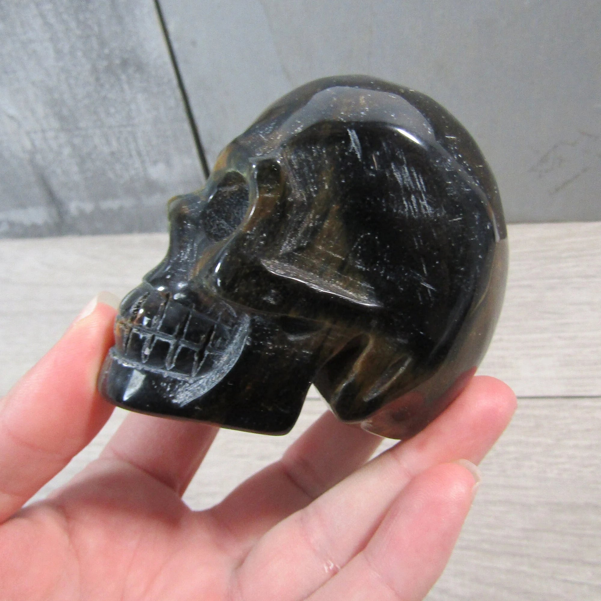 Gemstone Skull Large Display Size