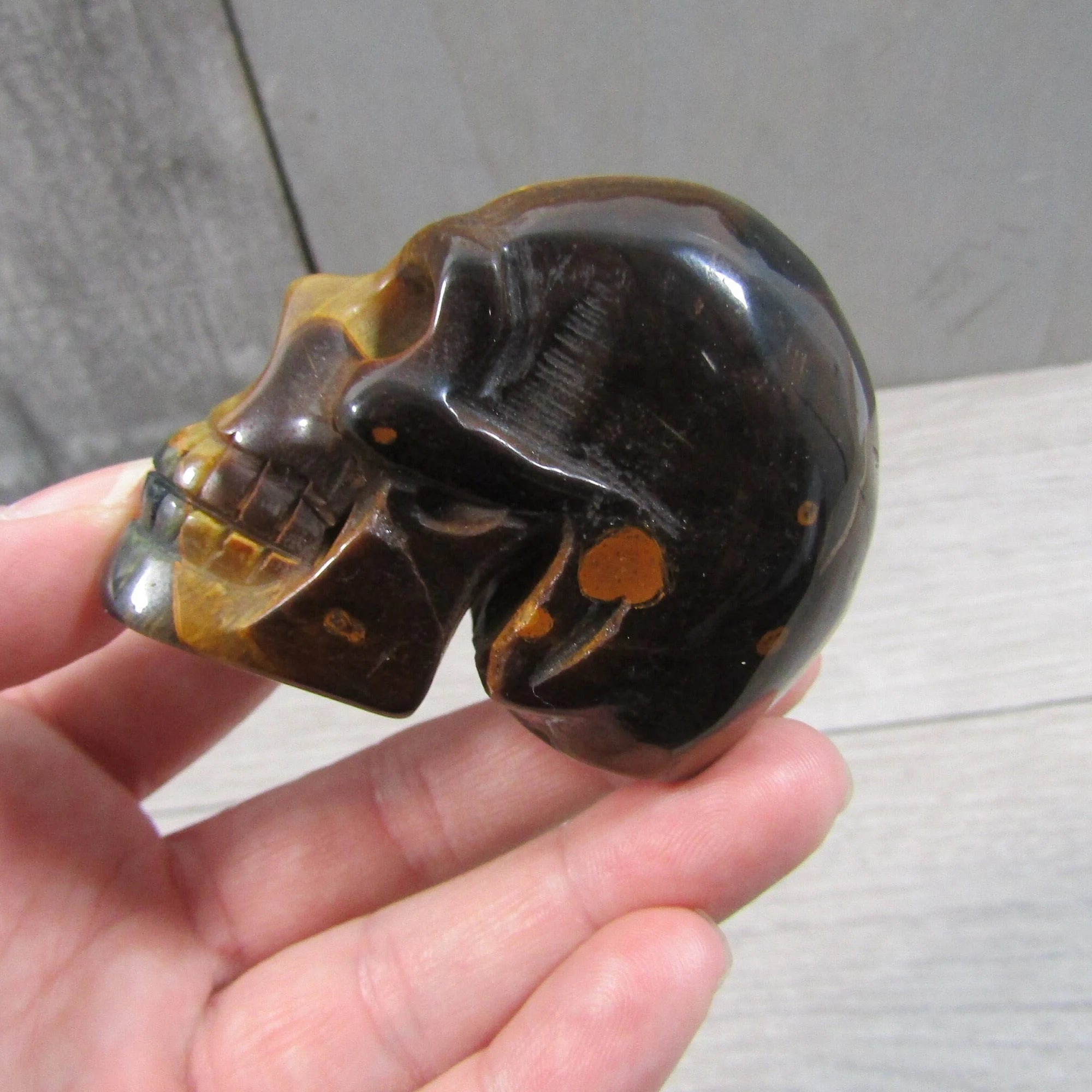 Gemstone Skull Large Display Size