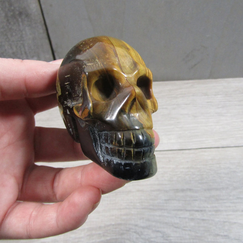 Gemstone Skull Large Display Size