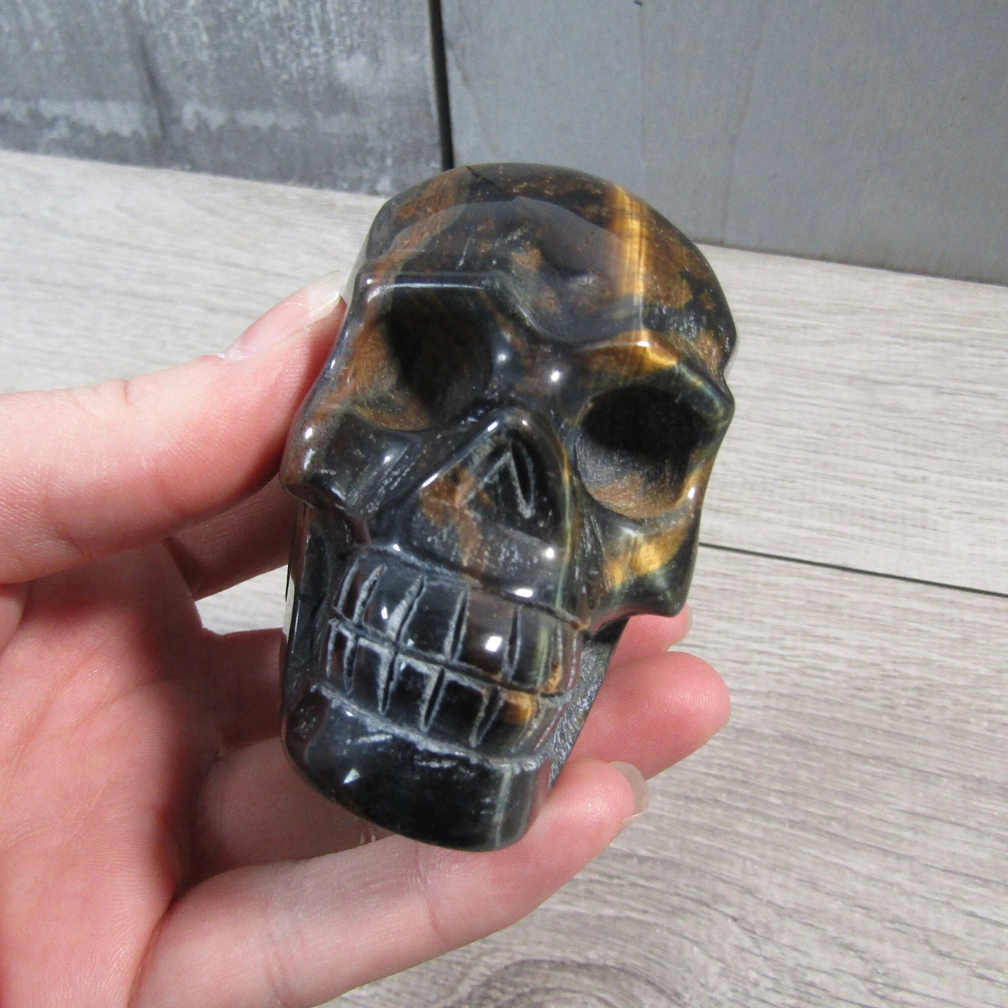 Gemstone Skull Large Display Size