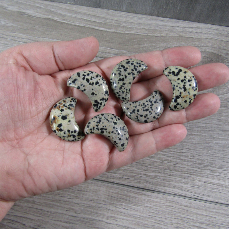 Dalmatian jasper crescent moon wholesale on a hand with a grey background - Keystone Crystals