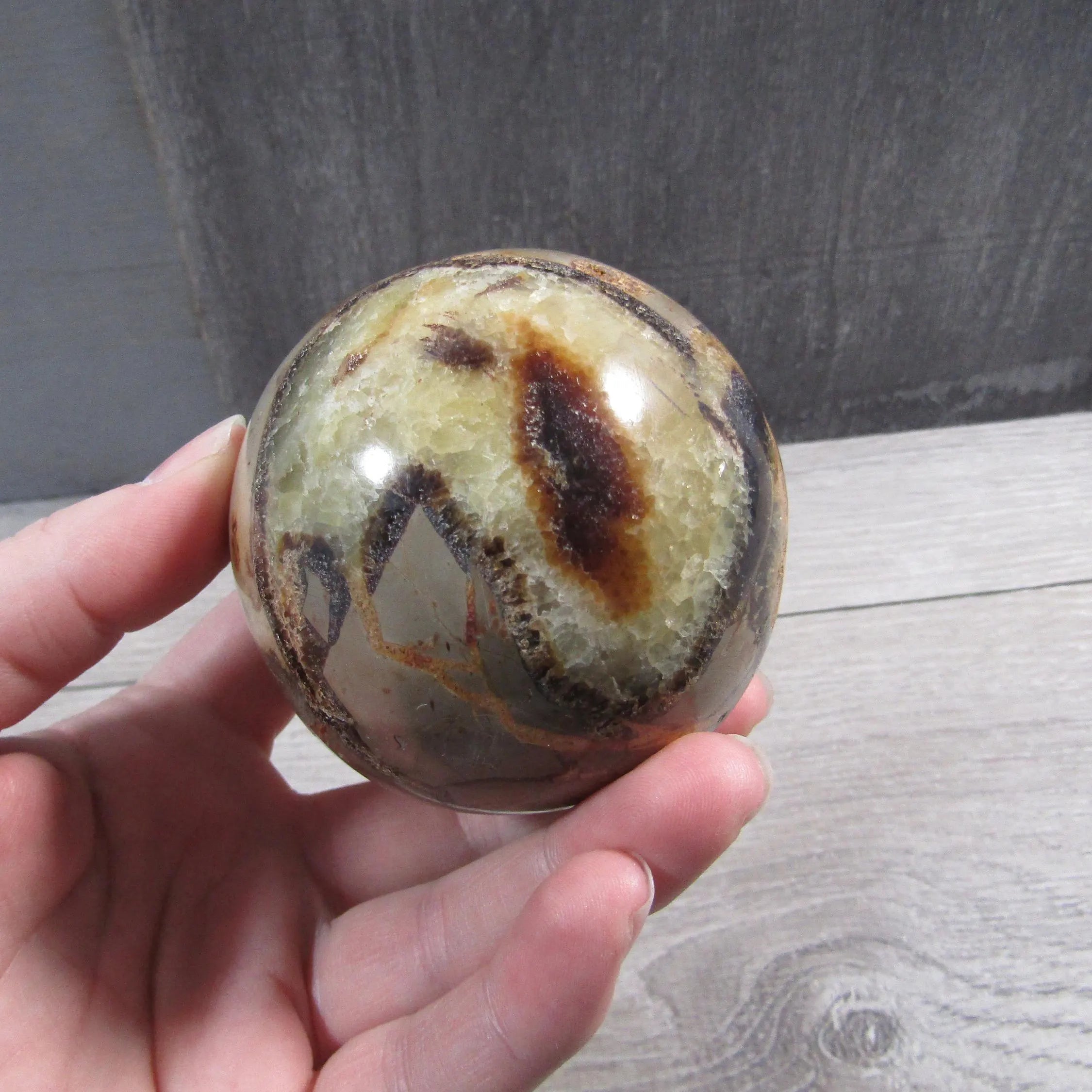 Large Septarian Nodule sphere in a natural light setting highlighting its earthy tones.