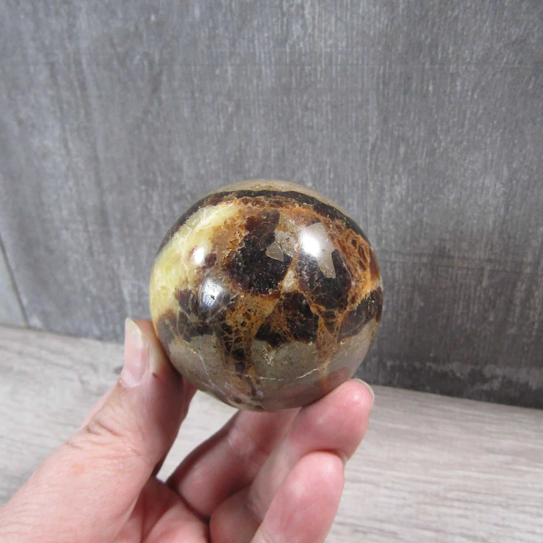 Septarian Nodule, Calcite Barite Sphere Large Display Size