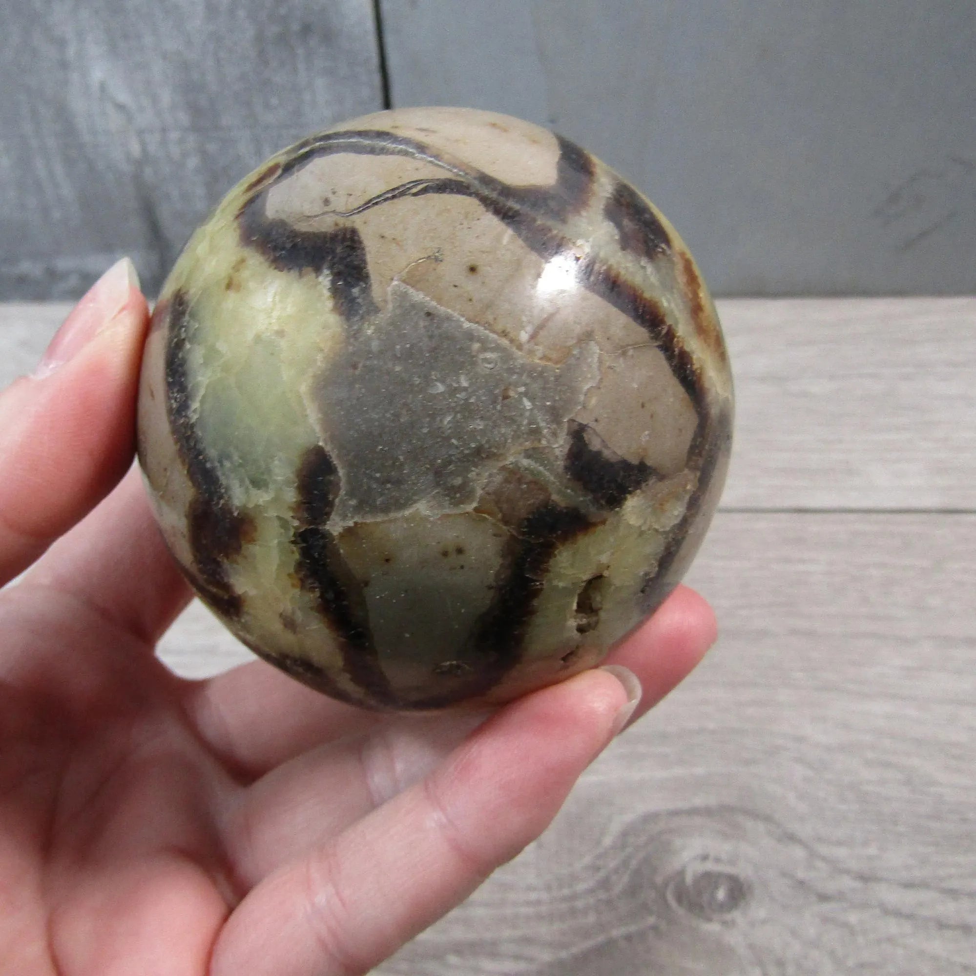 Septarian Nodule, Calcite Barite Sphere Large Display Size