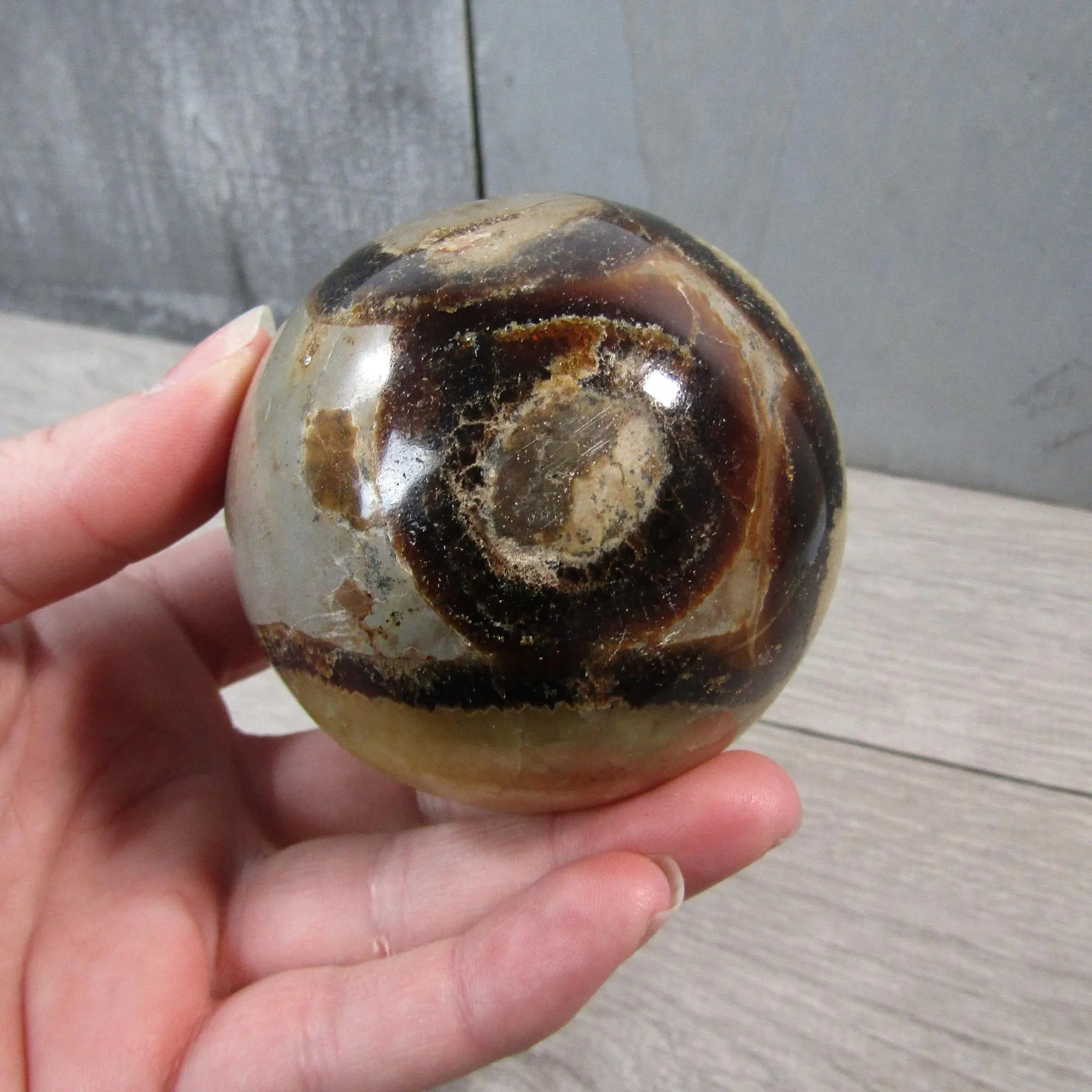 Septarian Nodule, Calcite Barite Sphere Large Display Size