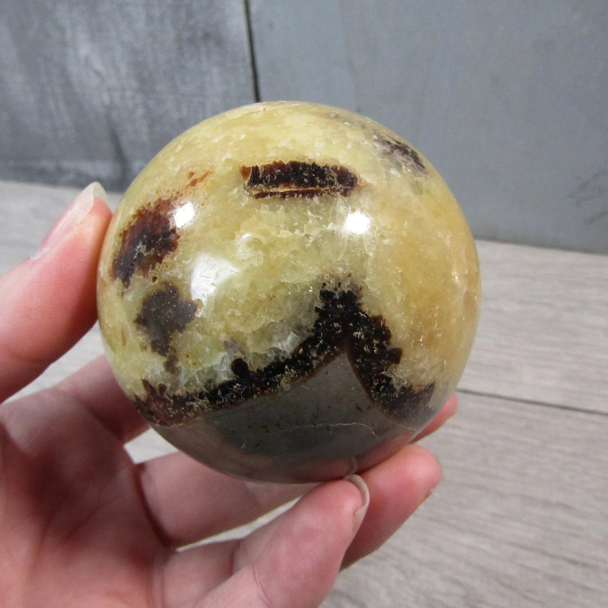 Septarian Nodule, Calcite Barite Sphere Large Display Size