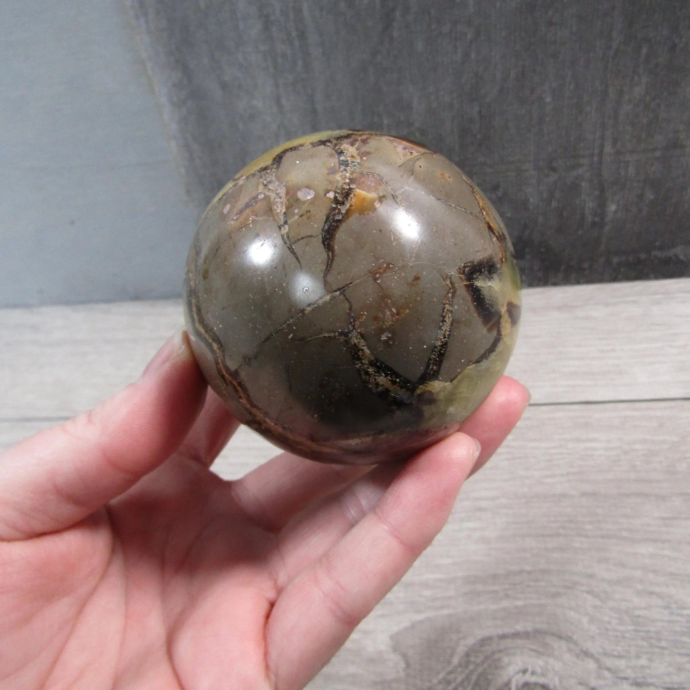 Septarian Nodule, Calcite Barite Sphere Large Display Size