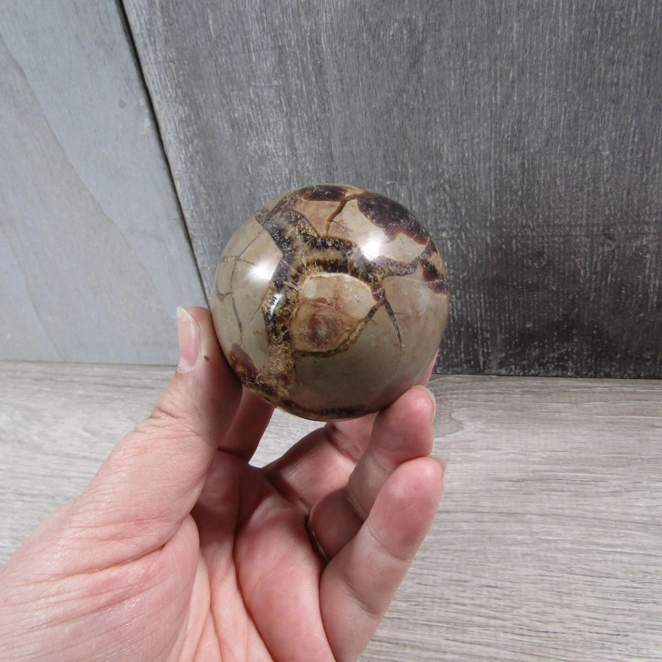 Septarian Nodule, Calcite Barite Sphere Large Display Size