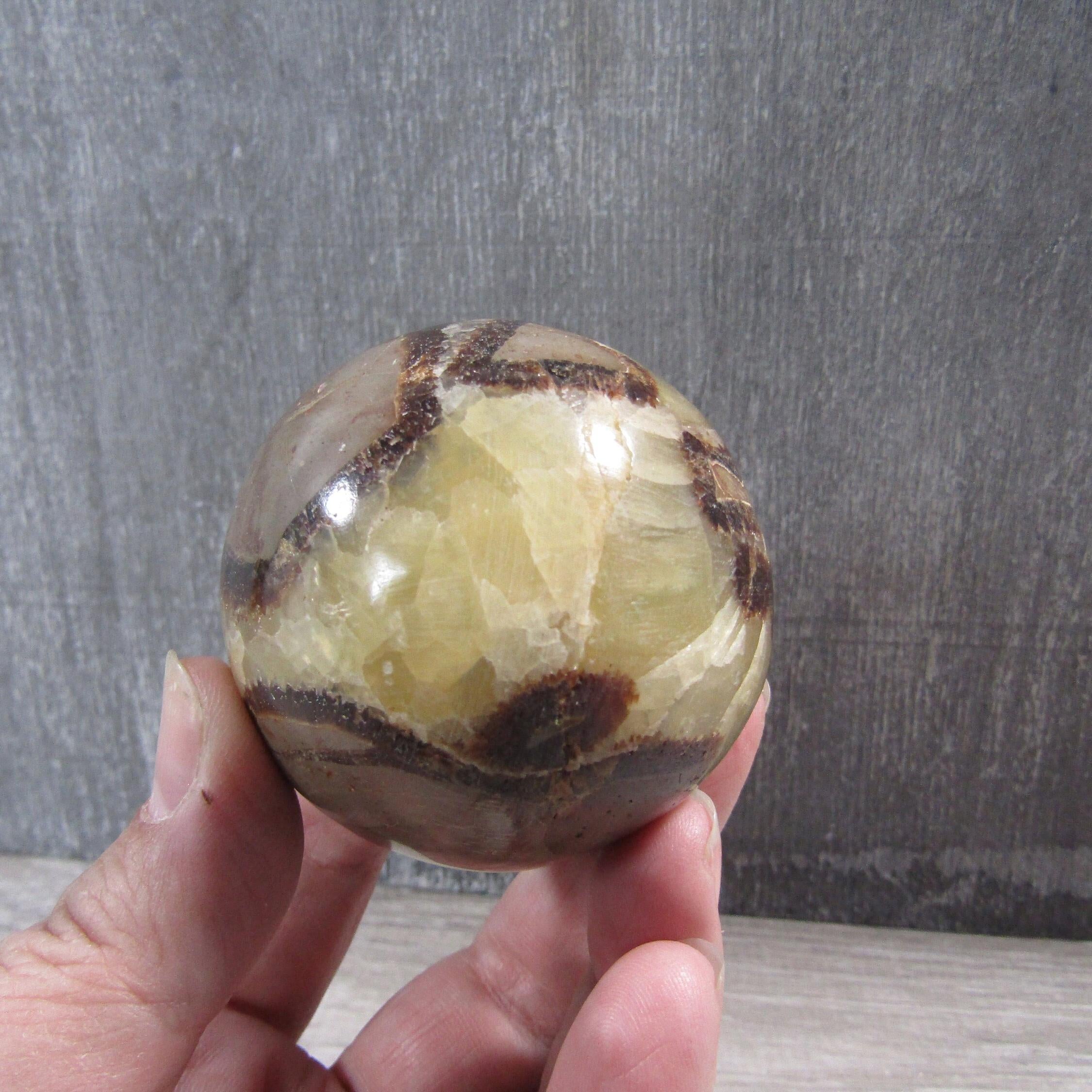 Large Septarian Nodule display sphere showcasing intricate calcite and barite patterns on a polished surface