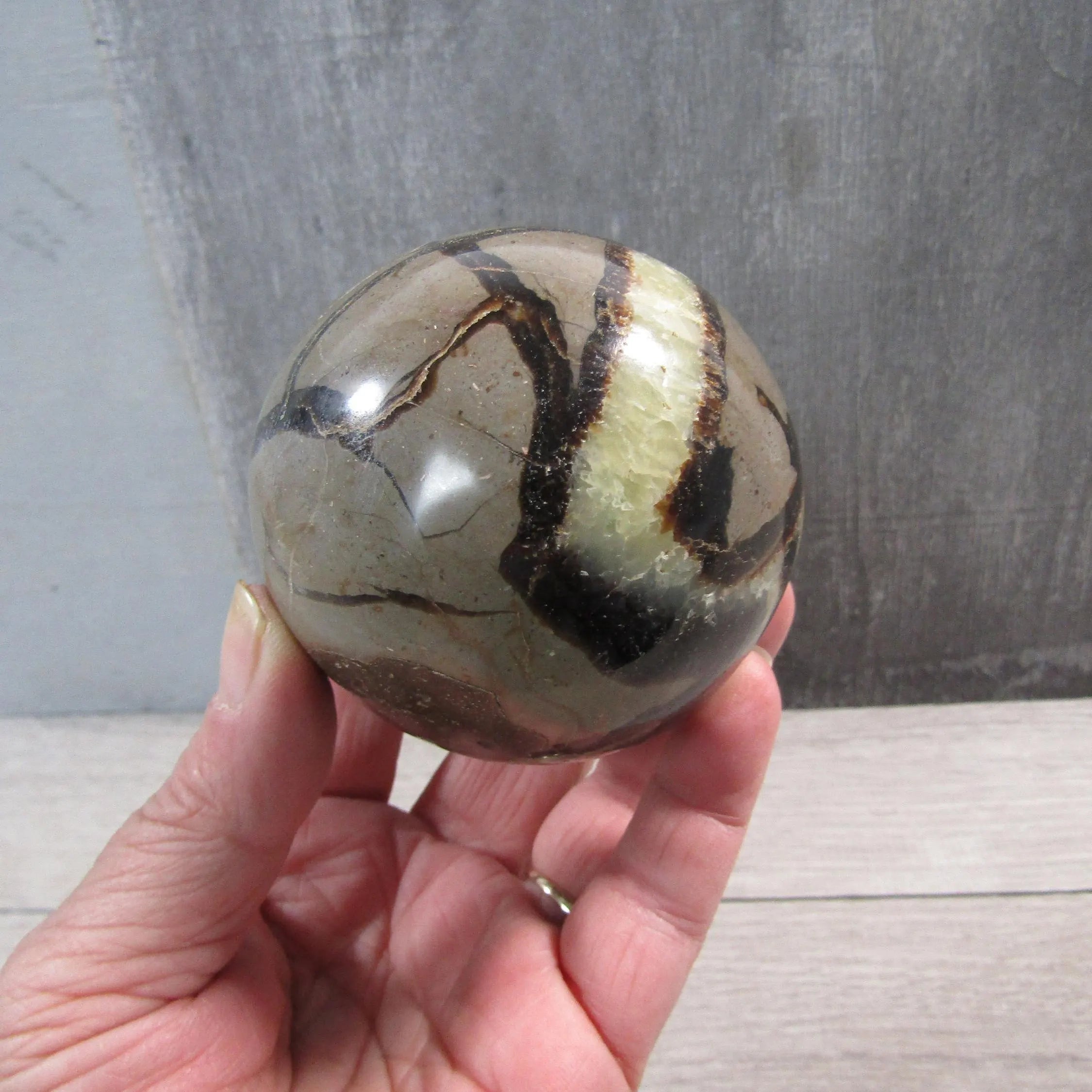 Septarian Nodule, Calcite Barite Sphere Large Display Size