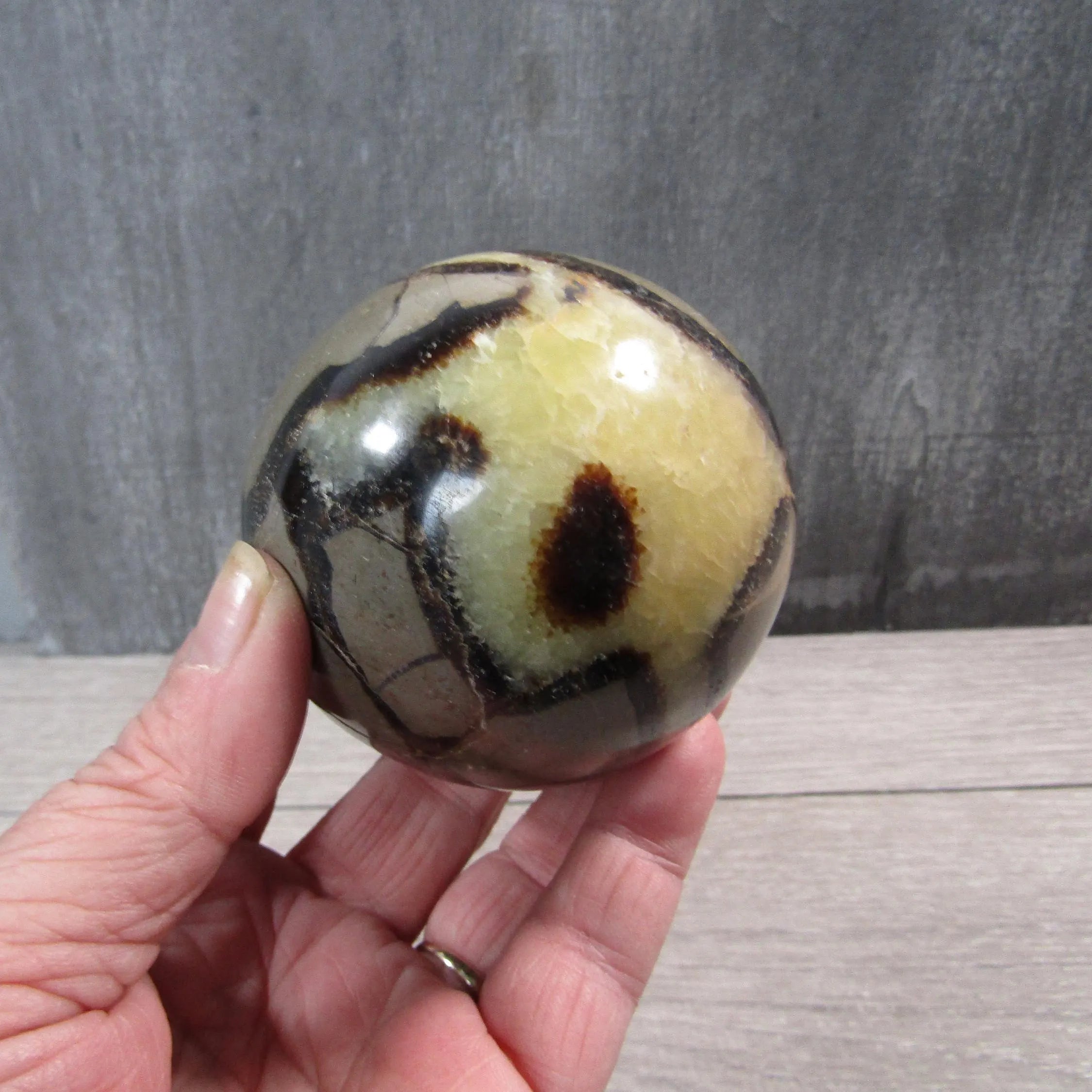 Septarian Nodule, Calcite Barite Sphere Large Display Size