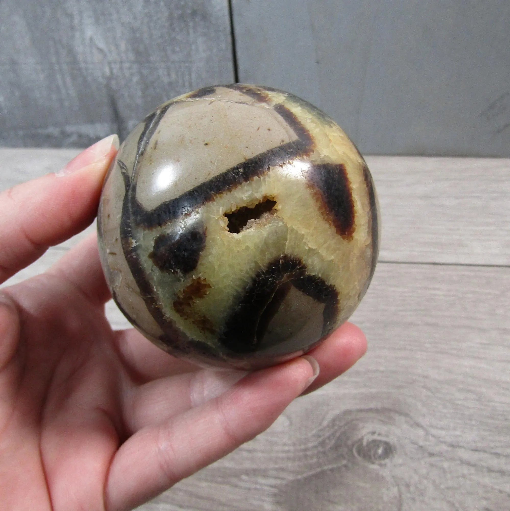 Septarian Nodule, Calcite Barite Sphere Large Display Size