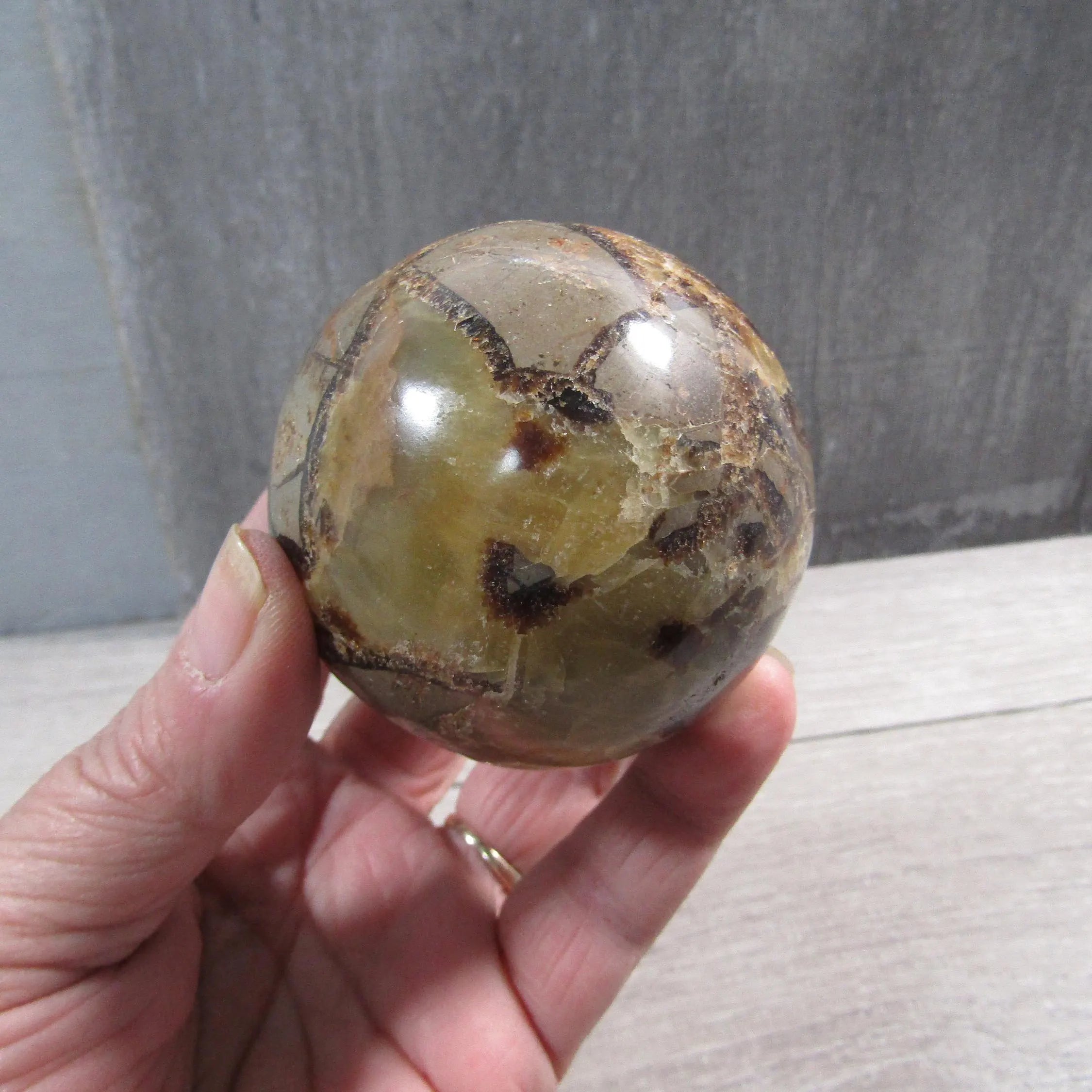 Septarian Nodule, Calcite Barite Sphere Large Display Size