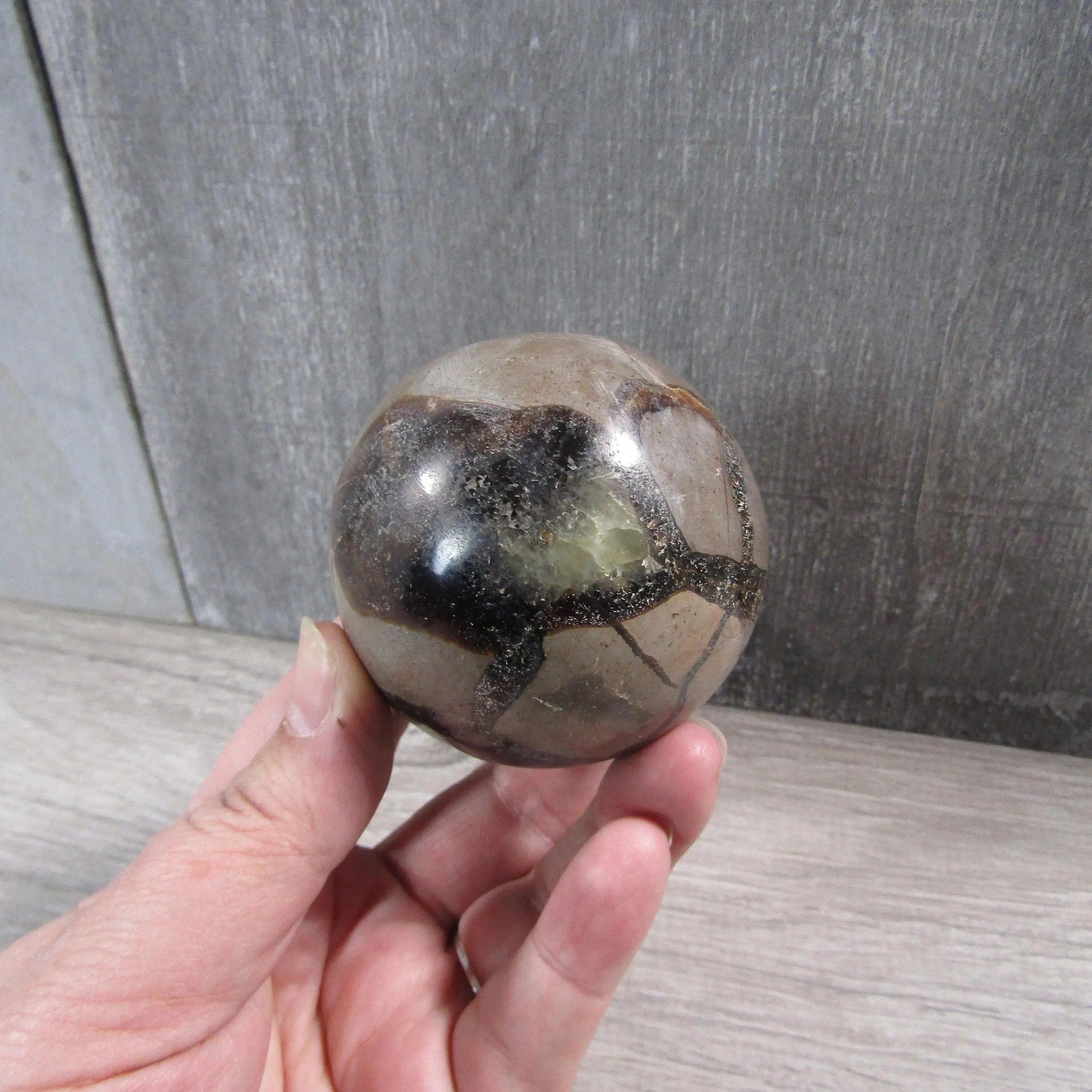 Septarian Nodule, Calcite Barite Sphere Large Display Size