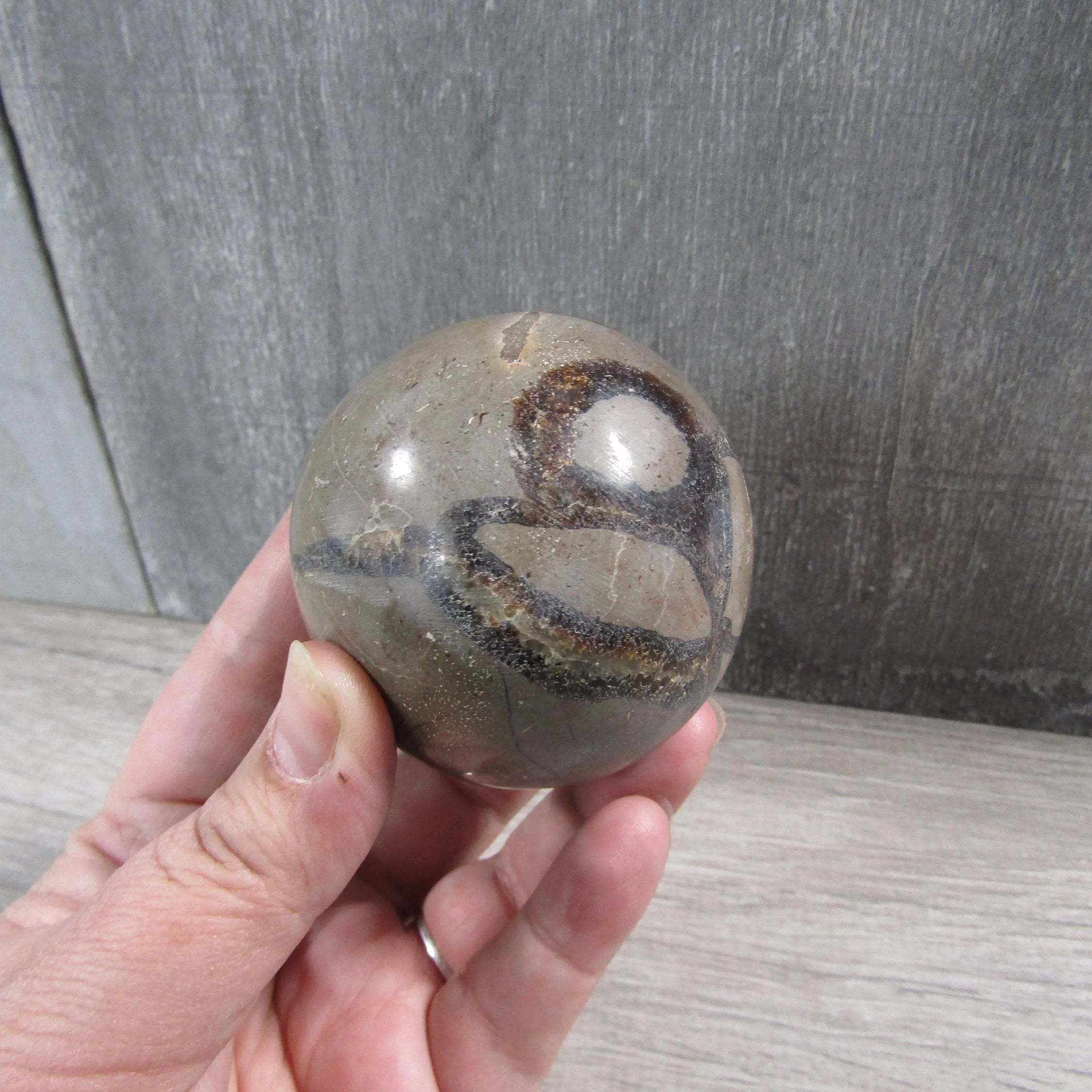 Septarian Nodule, Calcite Barite Sphere Large Display Size