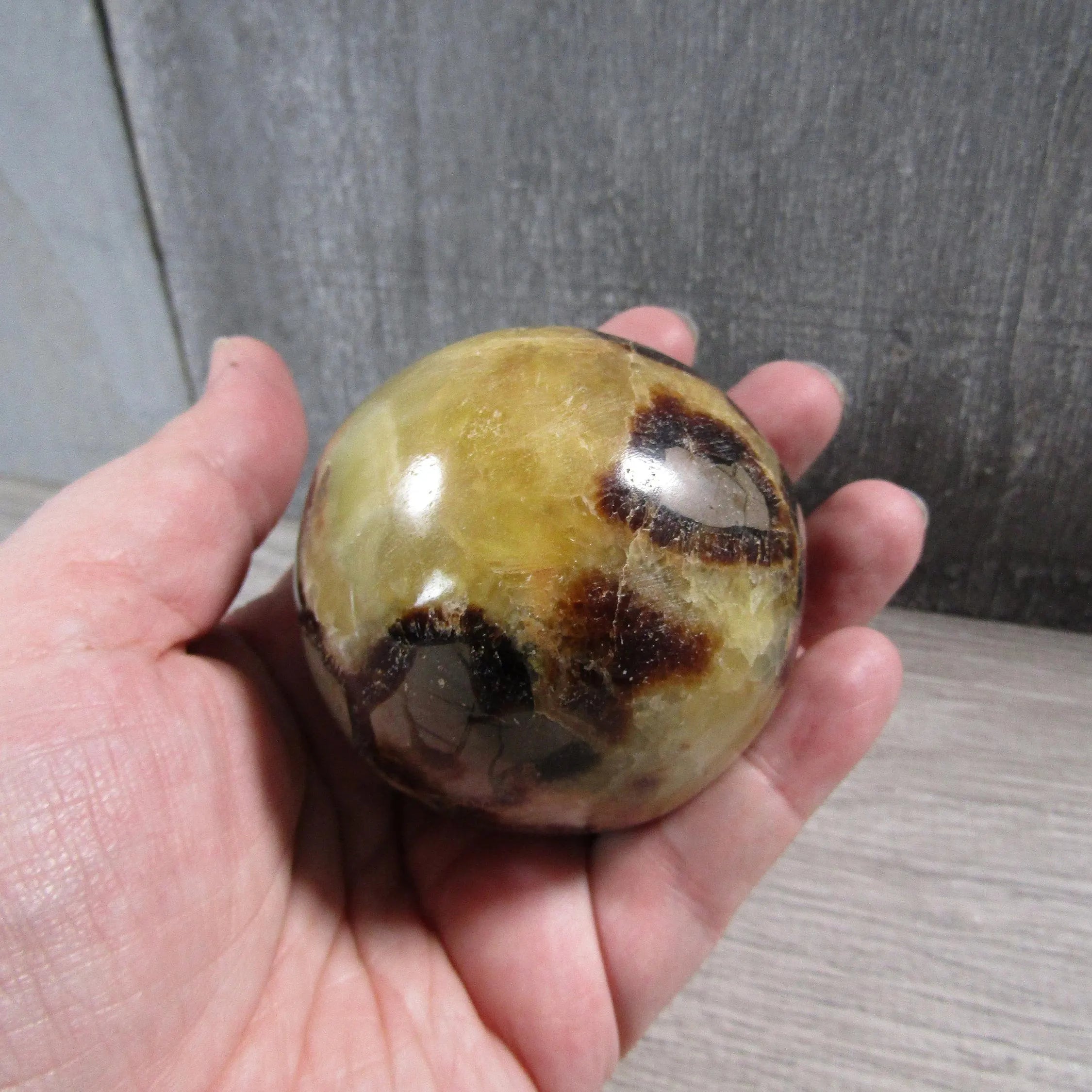 Septarian Nodule, Calcite Barite Sphere Large Display Size