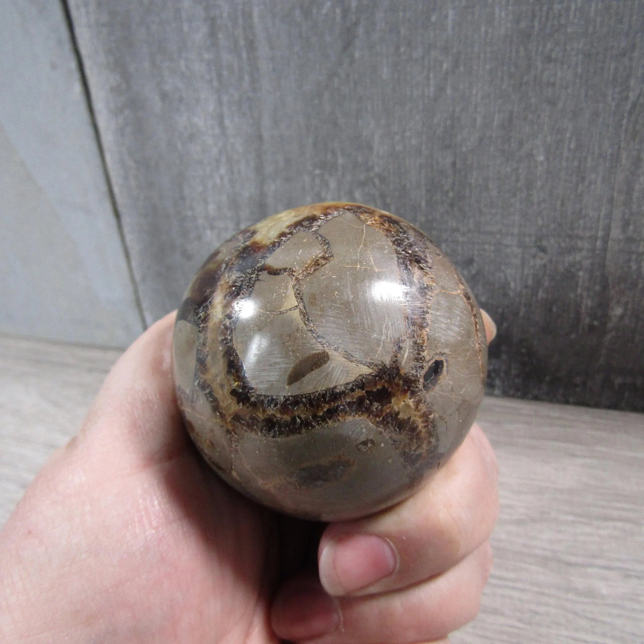 Septarian Nodule, Calcite Barite Sphere Large Display Size