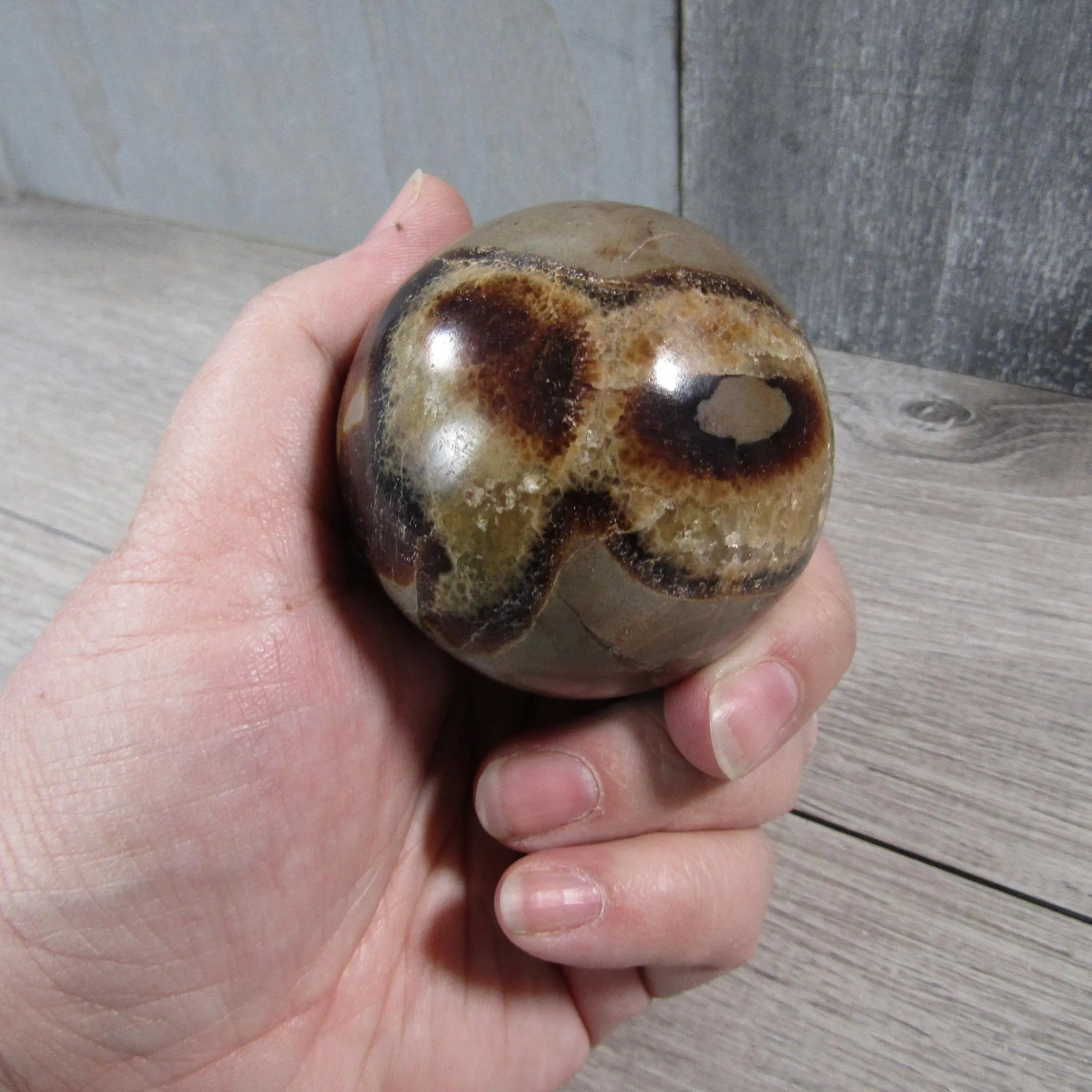 Septarian Nodule, Calcite Barite Sphere Large Display Size