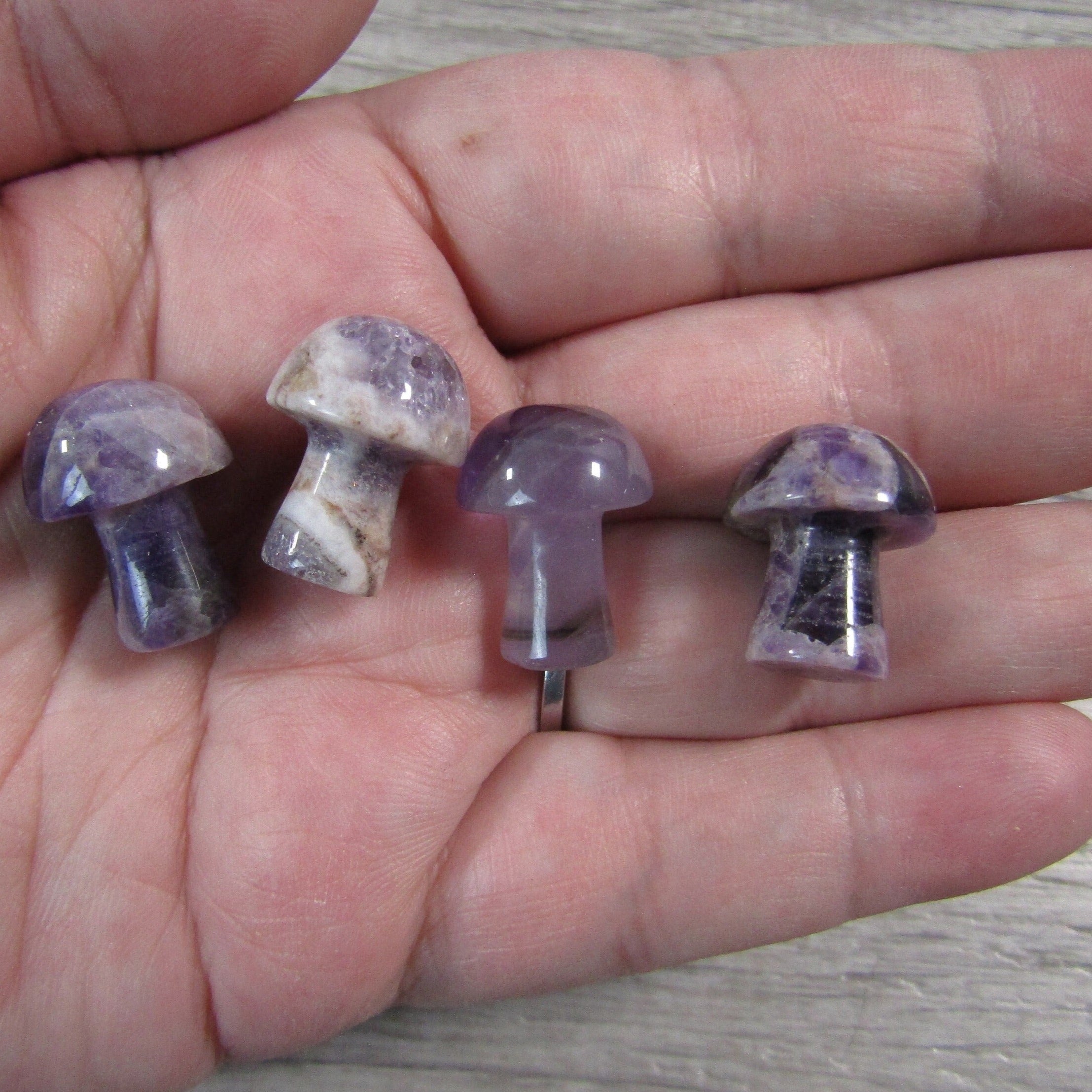 Small Gemstone Mushrooms