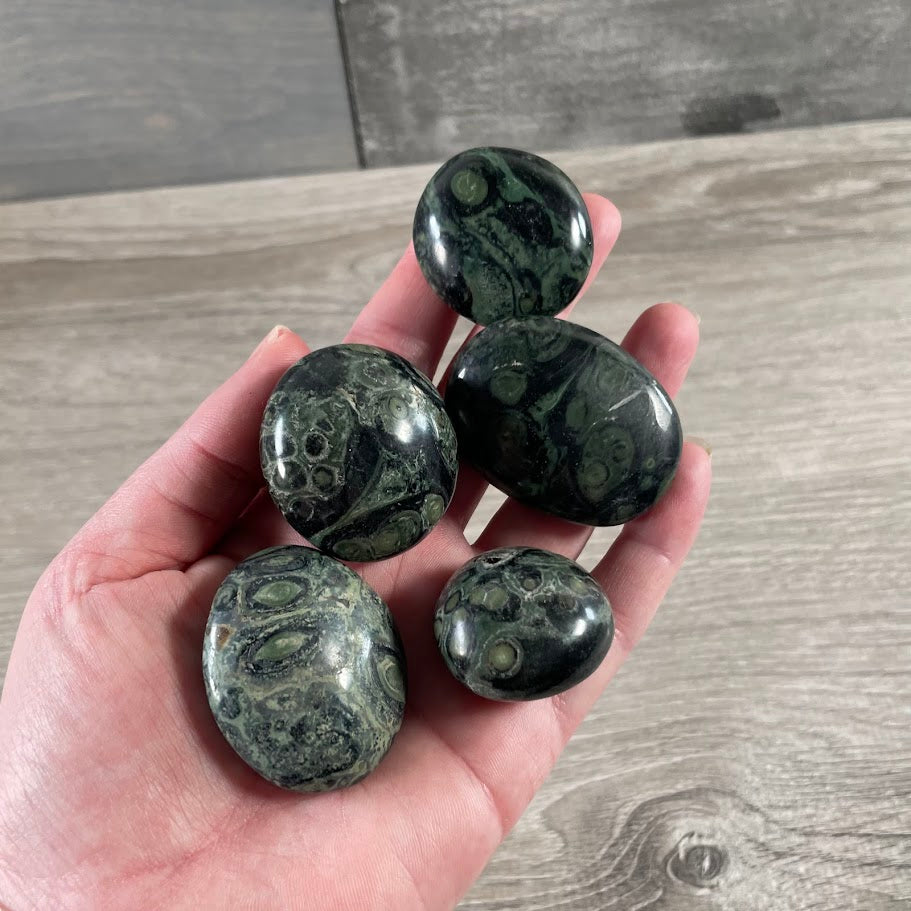 Kambaba Jasper Colorful palm stones assorted gemstones for retailers