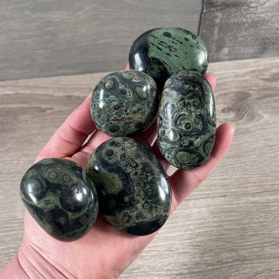 Kambaba jasper palm stones by the ounce for gift stores