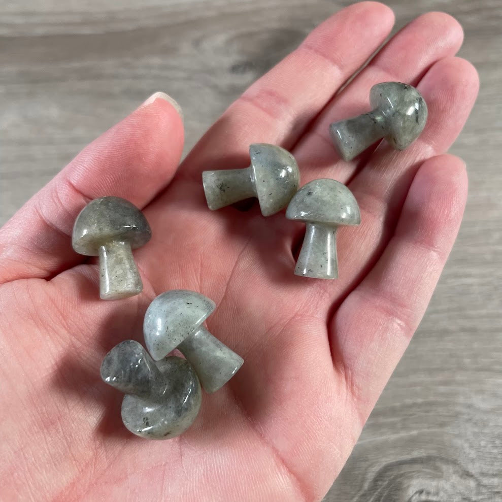 Labradorite stone mushroom figurine for wholesale crystal inventory