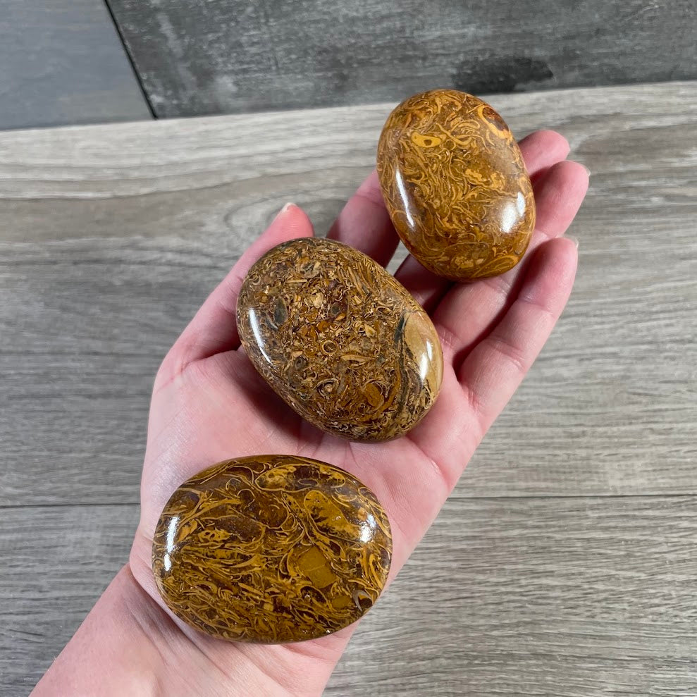 Miriam jasper crystal palm stones wholesale polished stone collection