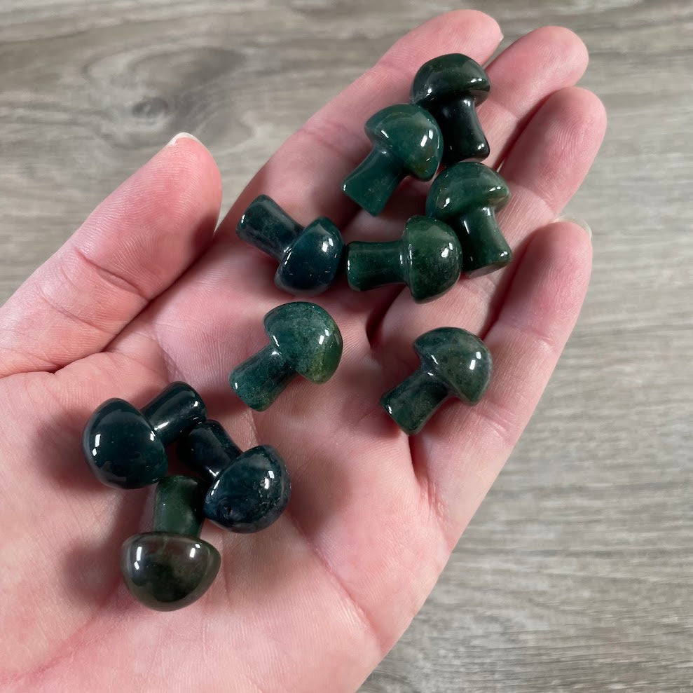 Small Gemstone Mushrooms – Wholesale Crystal Carvings for Gift Shops
