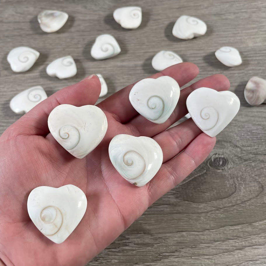 Natural Shiva Eye Shell heart shapes for altar supplies and spiritual shop inventory