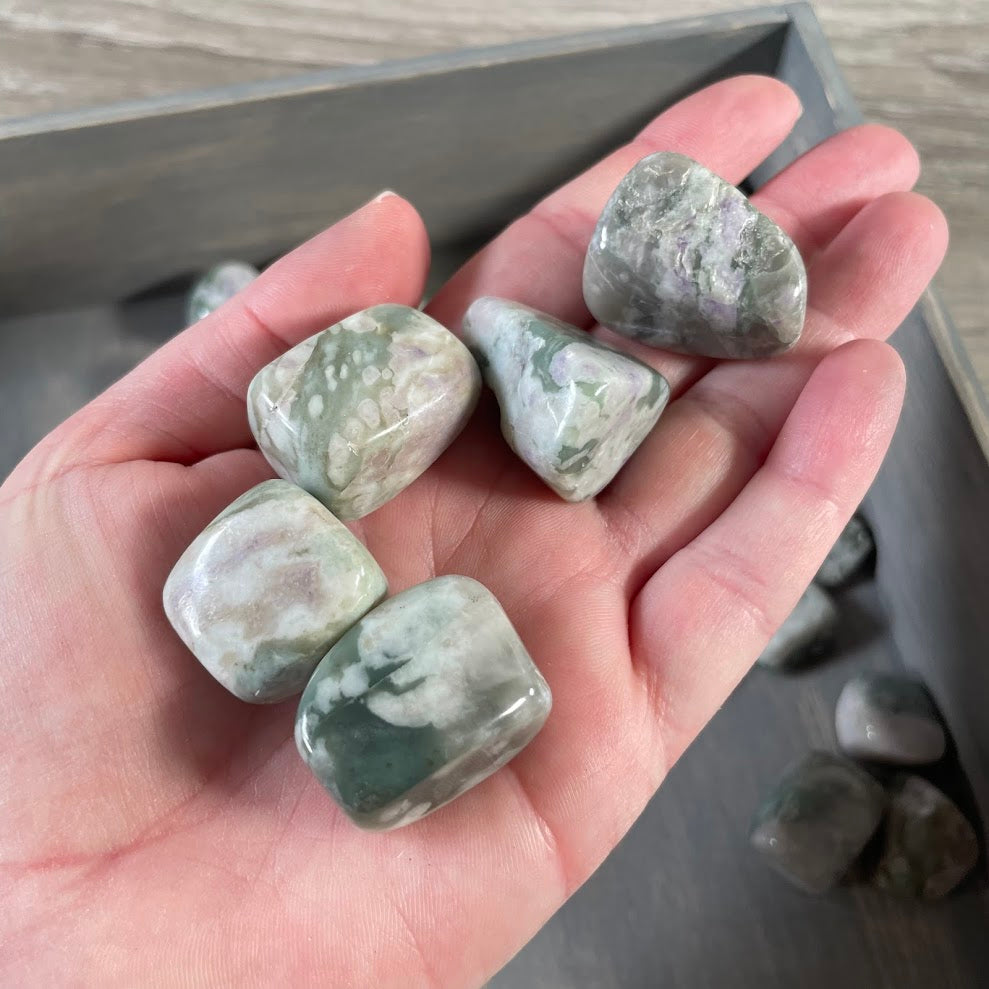 Peace Jade tumbled stones 1 lb bulk polished healing crystals and gemstones