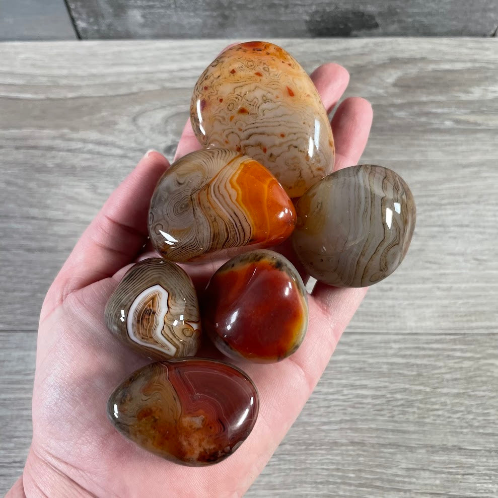 Bulk persian agate gemstone palm stones polished crystals for gift shops and retailers