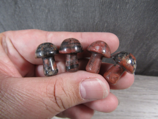 Small Gemstone Mushrooms